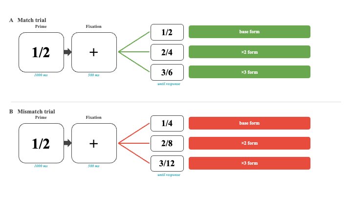 Fraction scaling stimulus presentation order